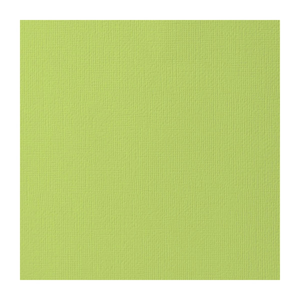 Solid light green color swatch on a white background