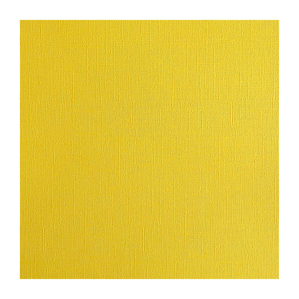 Solid mustard yellow color swatch on a white background