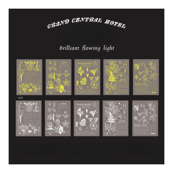 Collection of botanical illustrations with text on a black background, featuring the 'Grand Central Hotel' branding.