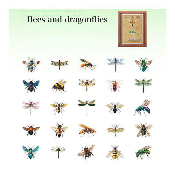 Poppy Crafts Insect Specimens PET Stickers - Bees & Dragonflies