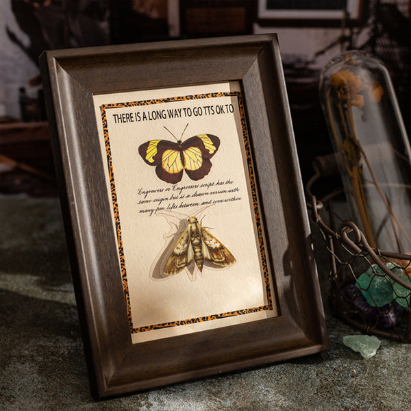 Poppy Crafts Insect Specimens PET Stickers - Butterfly Moth