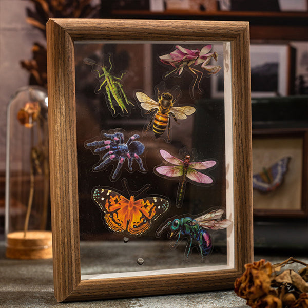 Poppy Crafts Insect Specimens PET Stickers - Butterfly Moth