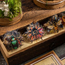 Poppy Crafts Insect Specimens PET Stickers - Spider & Mantis