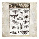 Poppy Crafts Stamps