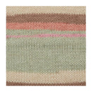 Premier Basix Trendy Yarn - Desert Sands