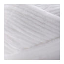 Premier Parfait Plush Yarn 200g - White