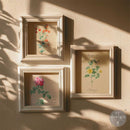 Three framed botanical prints on a wall with sunlight casting shadows.