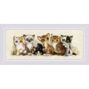 RIOLIS Counted Cross Stitch Kit 15.75"X6" Kittens (14 Count)