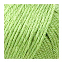 Fiddlesticks Superb 10 Yarn 100g - Spearmint