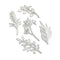 Elizabeth Craft Metal Dies Greenery Fillers 1