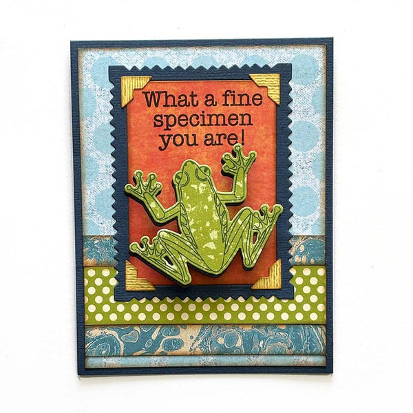Elizabeth Craft Stamp And Die Set Beetles and Bugs