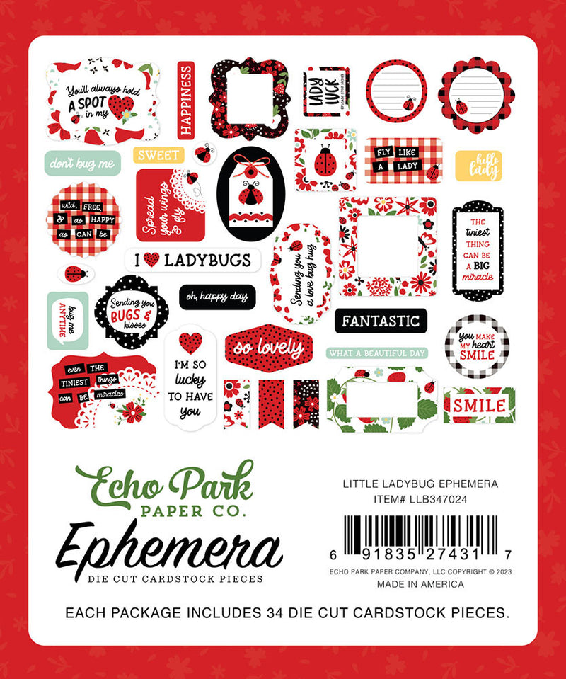 Echo Park Cardstock Ephemera 34/Pkg Icons, Little Ladybug