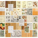 49 And Market Collage Sheets 6"x8" 40 pack  Colour Swatch: Peach*