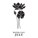 Spellbinders Press Plate ‚Äö√Ñ√∂‚àö√ë‚àö‚àÇ‚Äö√†√∂‚àö√´‚Äö√†√∂¬¨¬Æ July Water Lily Flower for Cardmaking & Calendars