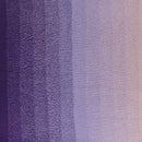 Scheepjes Cotton Whirl Yarn - Forest Fruit Juice