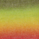 Scheepjes Stone Washed Flow Yarn - Delight