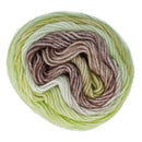 Multicolored yarn ball on a white background