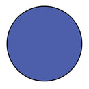 Solid blue circle on a white background