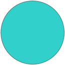 Solid turquoise circle on a white background