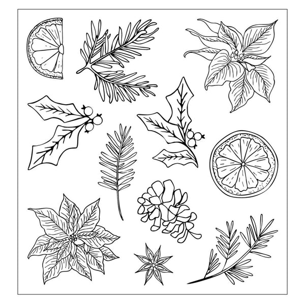 Black and white illustrations of various plants and leaves on a white background