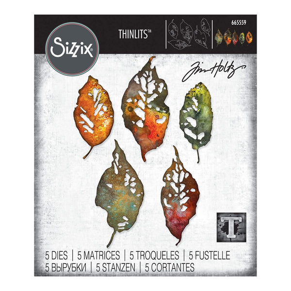 Sizzix Thinlits Die Set By Tim Holtz 5/Pkg - Leaf Fragments