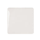 White rectangular plate on a white background