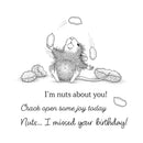 Illustration of a mouse with nuts and text on a white background