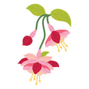 Illustration of a pink and red fuchsia flower with green leaves on a white background