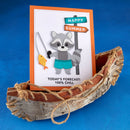 Card with a raccoon illustration and 'Happy Summer' sign on a blue background