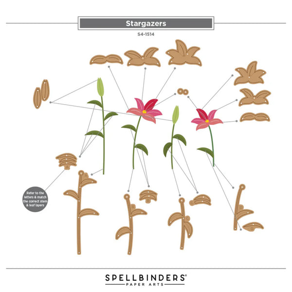 Spellbinders paper art die cut set labeled 'Stargazers' on a white background