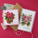 Two floral-themed greeting cards on a textured surface with a red background
