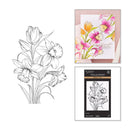 Floral design set with coloring book, stamp, and packaging on a white background