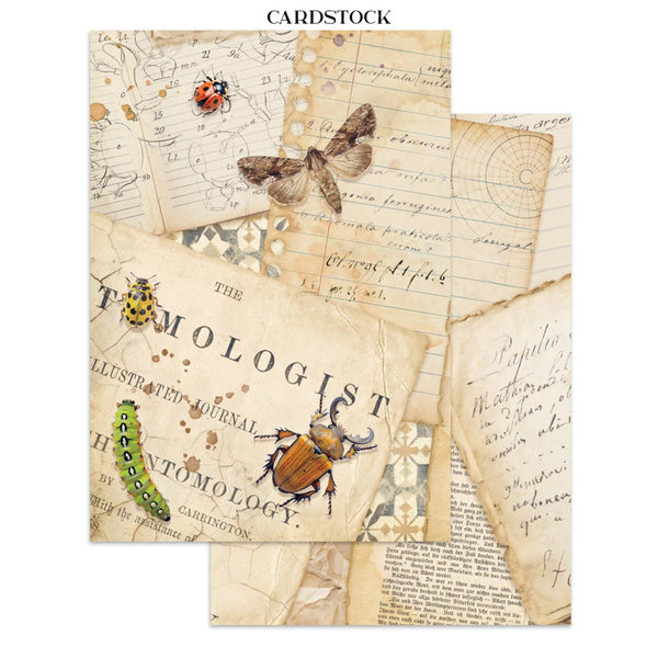 Cardstock with vintage insect design and text on a white background