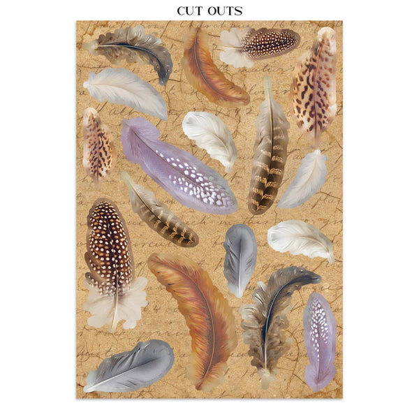 Collection of cut-out feathers on a textured background with 'CUT OUTS' text at the top.