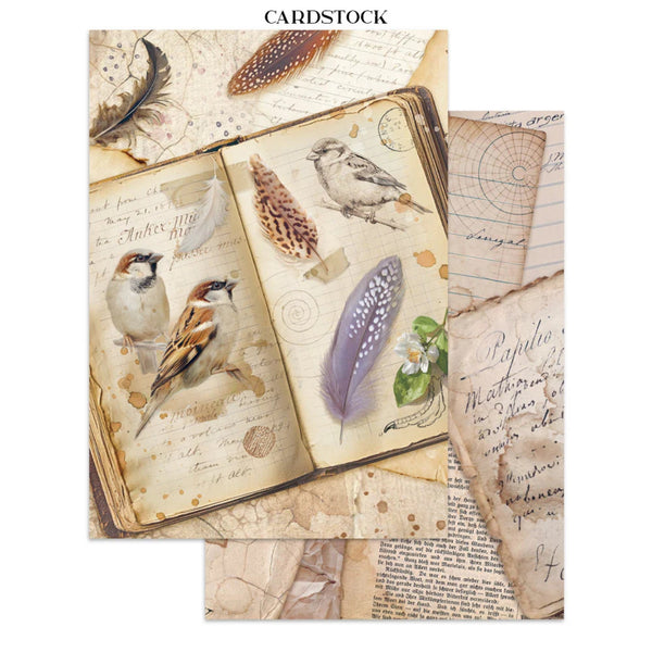 Cardstock with nature-themed design featuring birds and feathers on a white background.