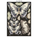 Decorative butterfly cutouts on a dark background