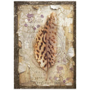 Decorative wall art with a feather and vintage-style design elements on a textured background.