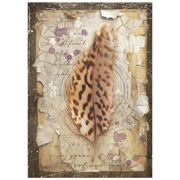 Decorative wall art with a feather and vintage-style design elements on a textured background.