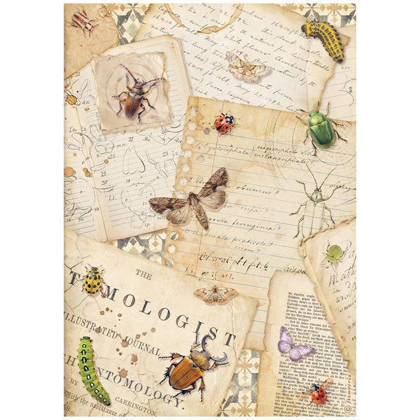 Decorative paper with illustrations of insects and text on a white background