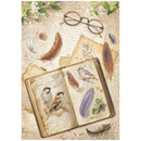 Vintage-style illustration with open book, feathers, and glasses on a textured background