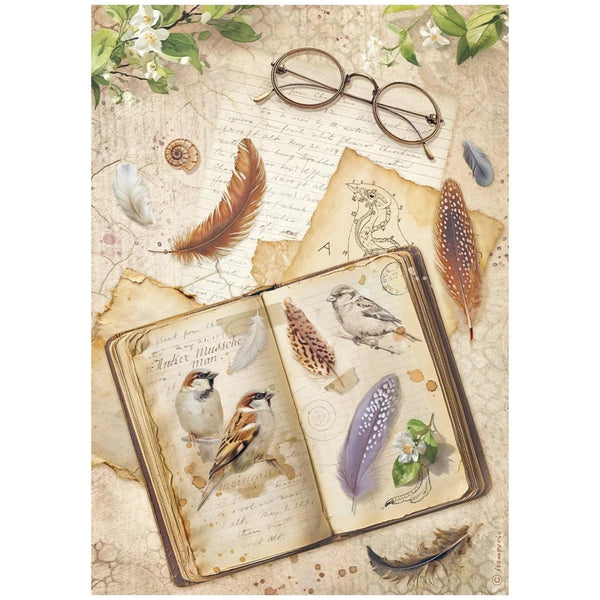 Vintage-style illustration with open book, feathers, and glasses on a textured background