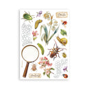 Sheet of stickers with insects, flowers, and a magnifying glass on a white background