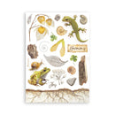 Sticker sheet with nature-themed designs including frogs, lizards, and plants on a white background.