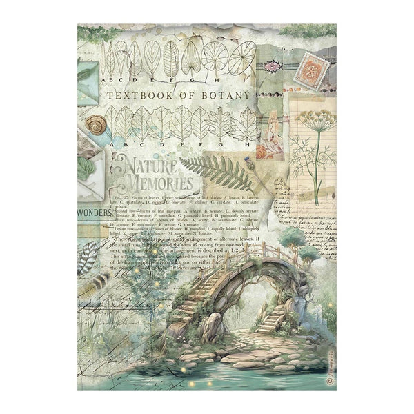 Stamperia A4 Rice Paper - Herbarium Silvae Bridge