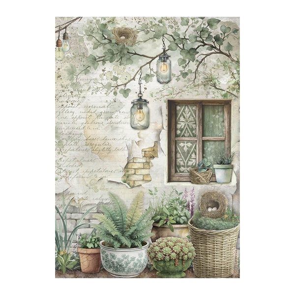 Stamperia A4 Rice Paper  Herbarium Silvae Window