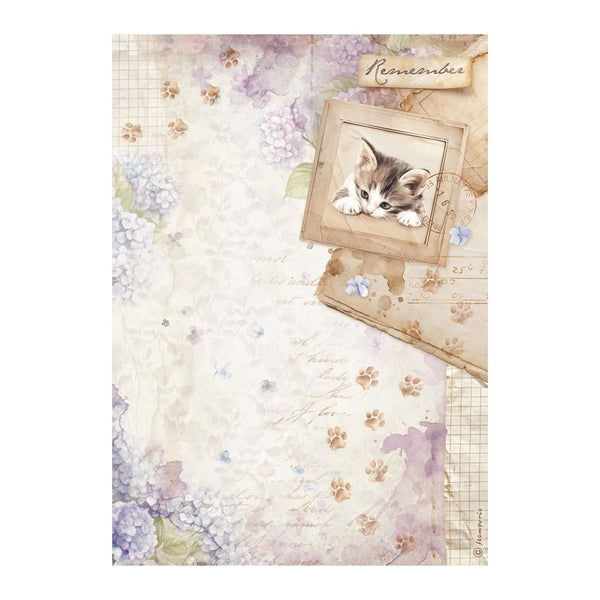 Decorative paper with a kitten in a frame, flowers, and 'Remember' text on a floral background.
