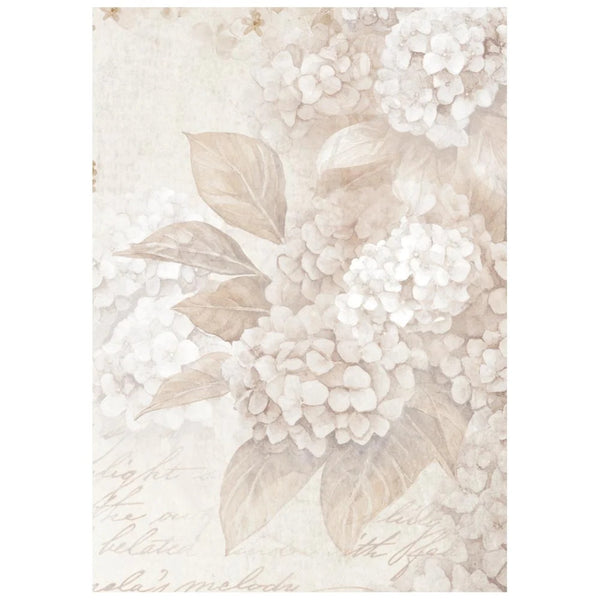Floral design with white flowers and beige leaves on a light background