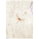 Dragonfly illustration on a textured paper background