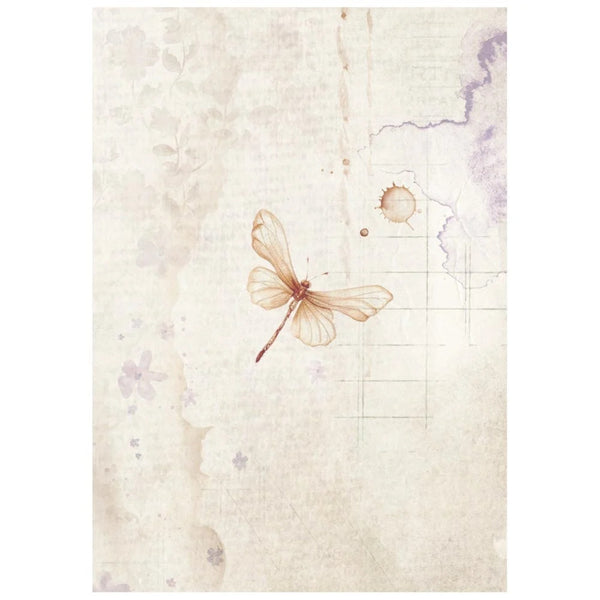 Dragonfly illustration on a textured paper background