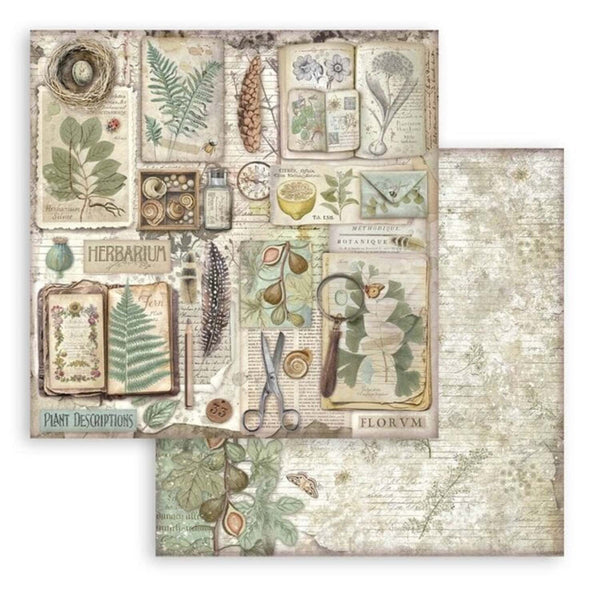 Stamperia Scrapbooking Small Pad 8" x 8" 10/pkg - Herbarium Silvae